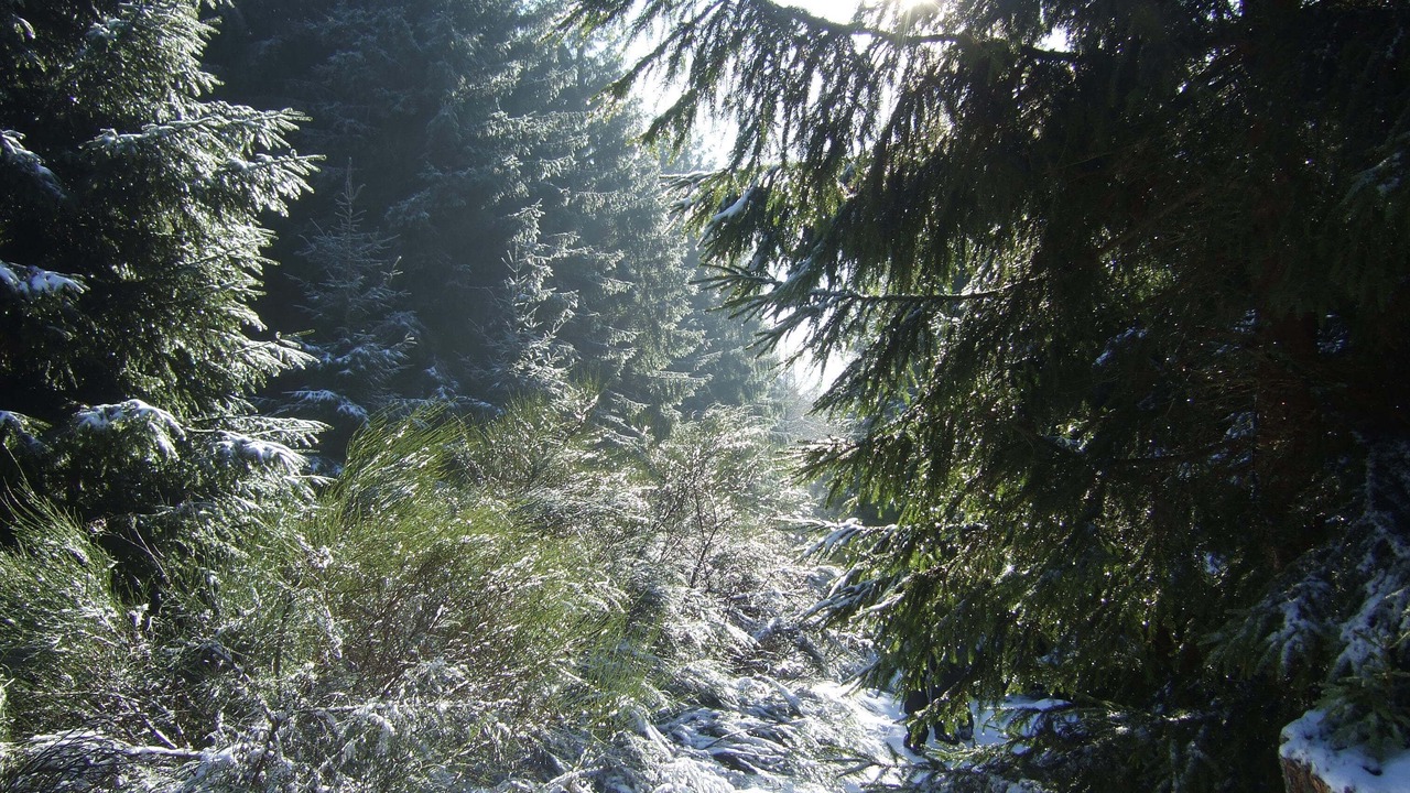 Photo of Outdoor in Gemund