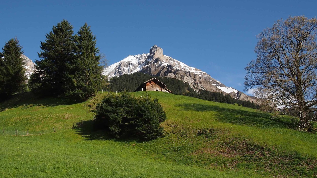 Photo of Others in Adelboden