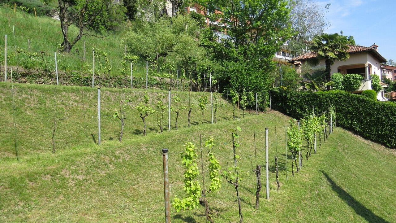 Photo of Outdoor in Vernate