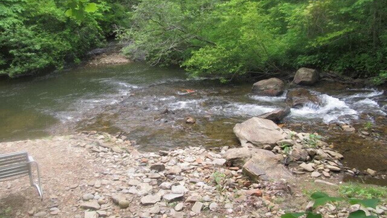 Photo of Others in Hiawassee