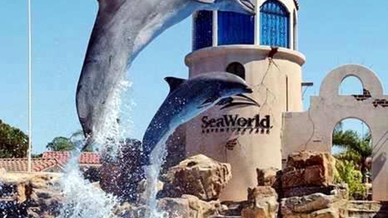 Photo of Outdoor in North Pacific Beach