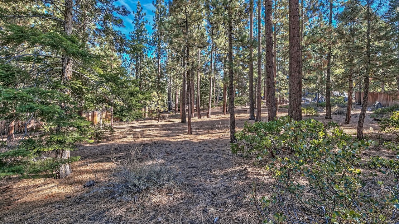 Photo of Outdoor in Lower Kingsbury