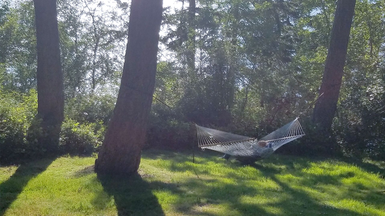Photo of Others in Lopez Island
