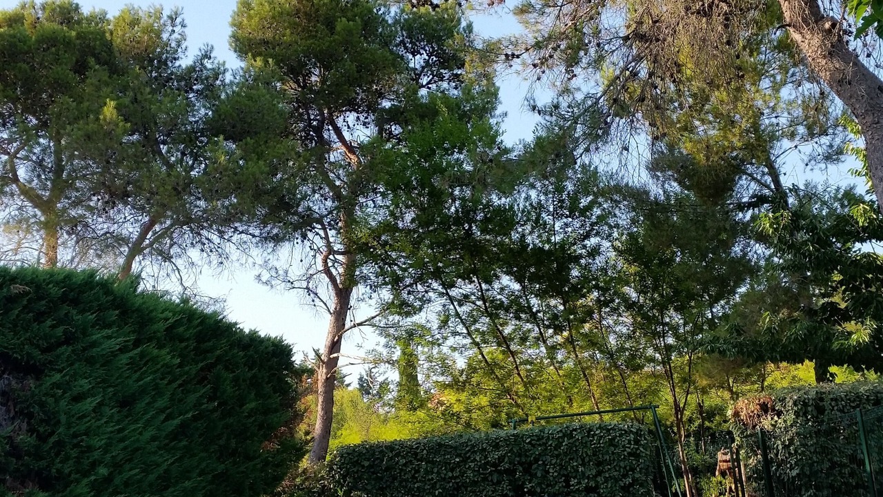 Photo of Outdoor in Le Muy