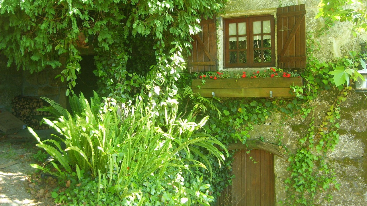 Photo of Outdoor in Bueu