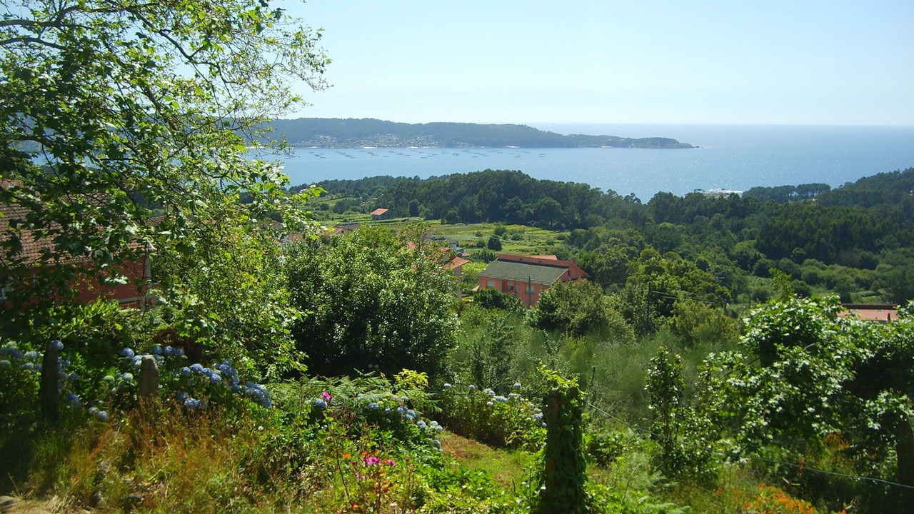 Photo of Outdoor in Bueu