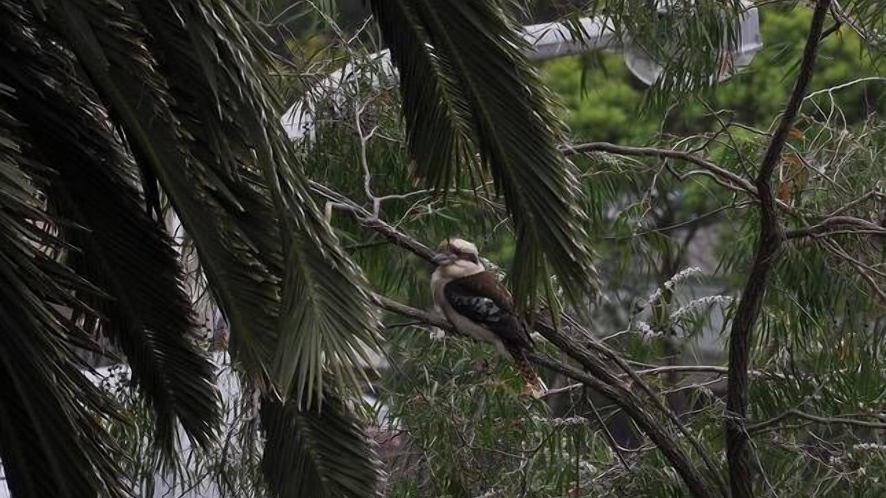 Photo of Outdoor in Kiama
