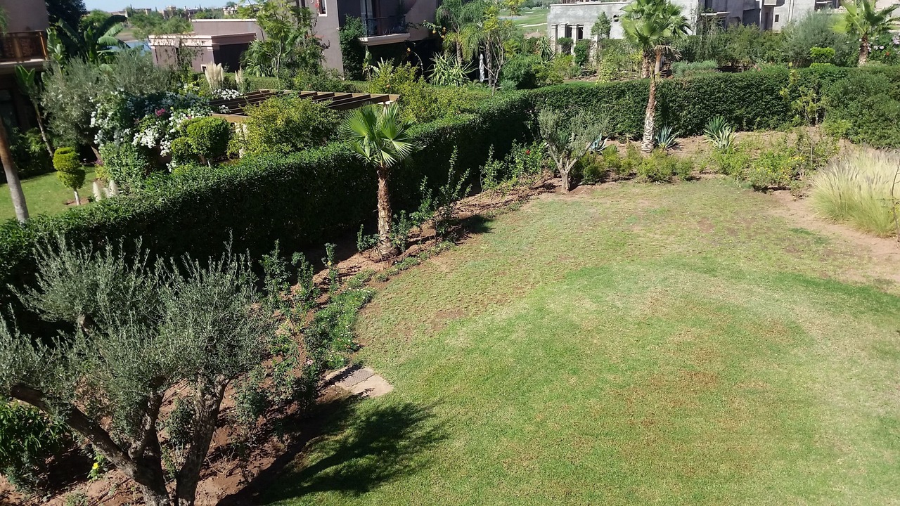 Photo of Outdoor in Tameslouht