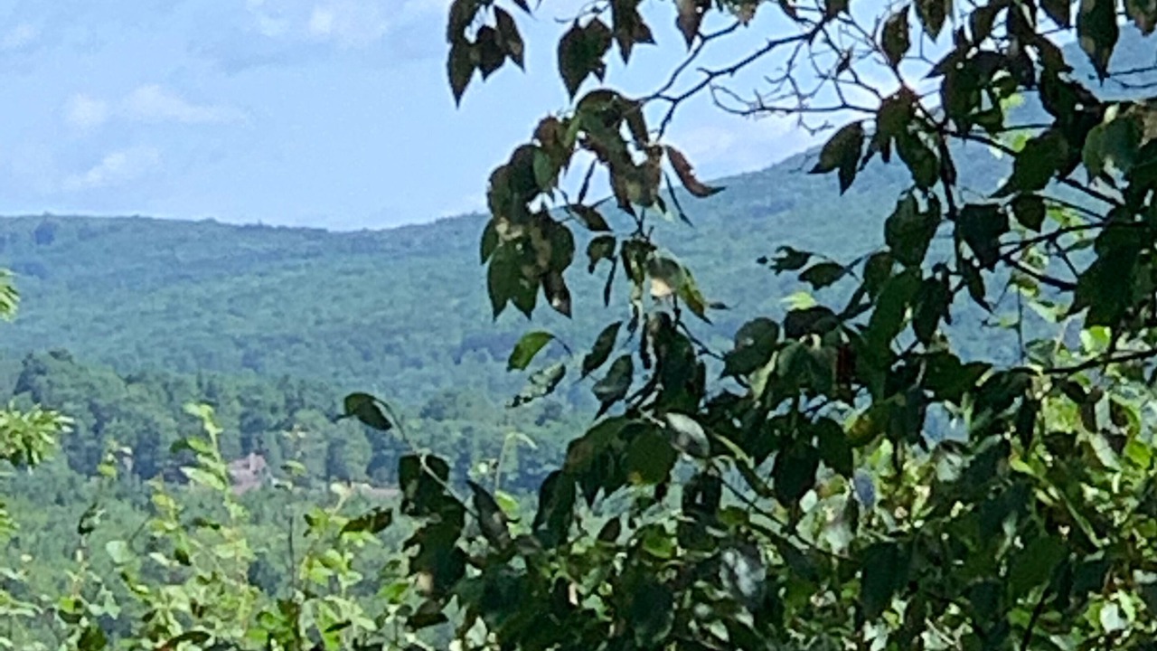 Photo of Outdoor in Windham