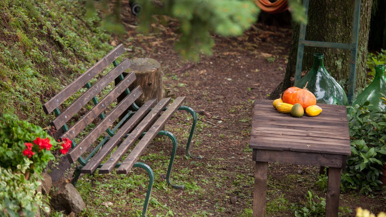 Photo of Outdoor in Boveglio