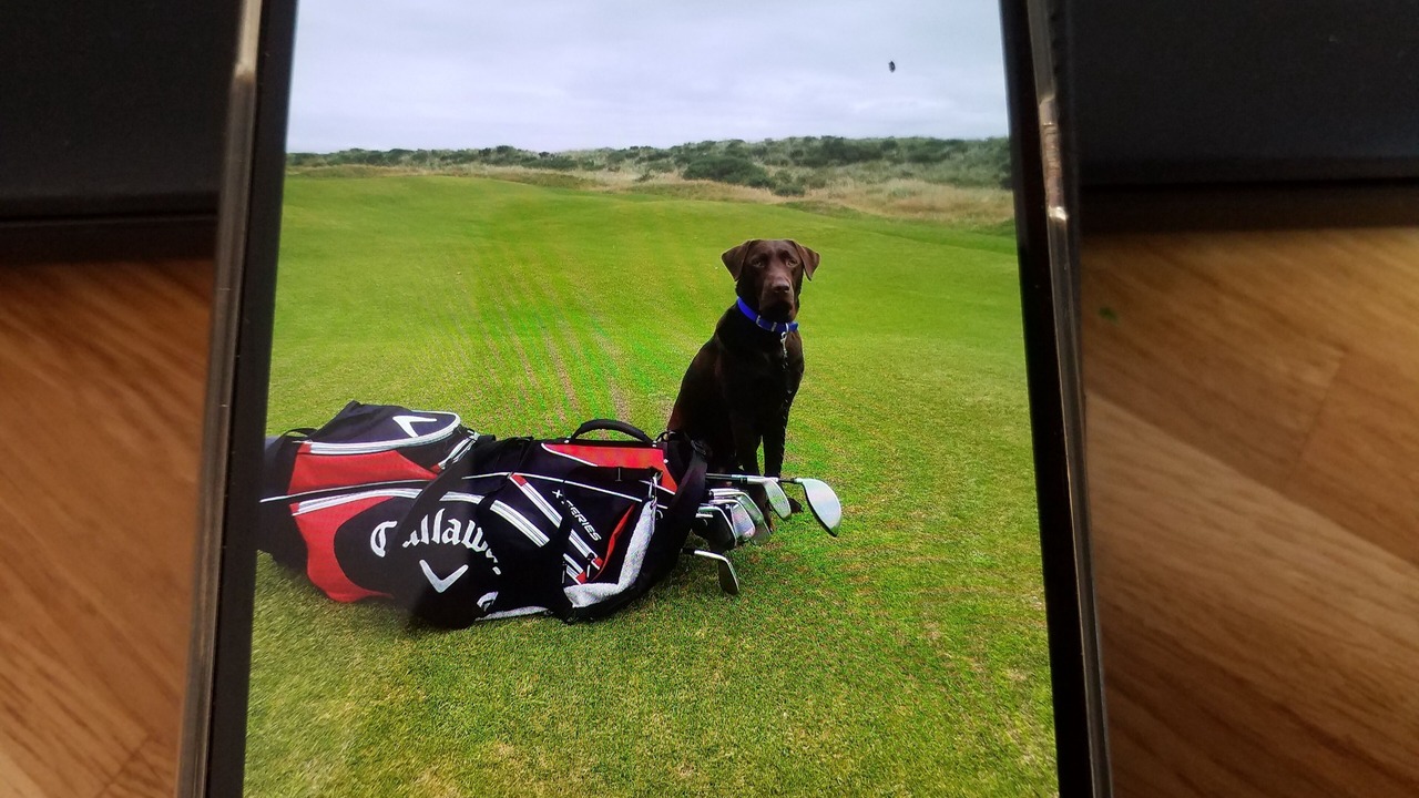 Photo of Others in St. Andrews