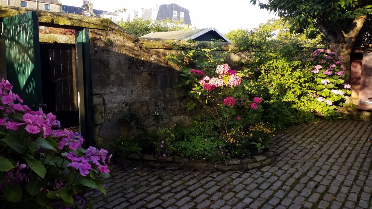 Photo of Others in St. Andrews