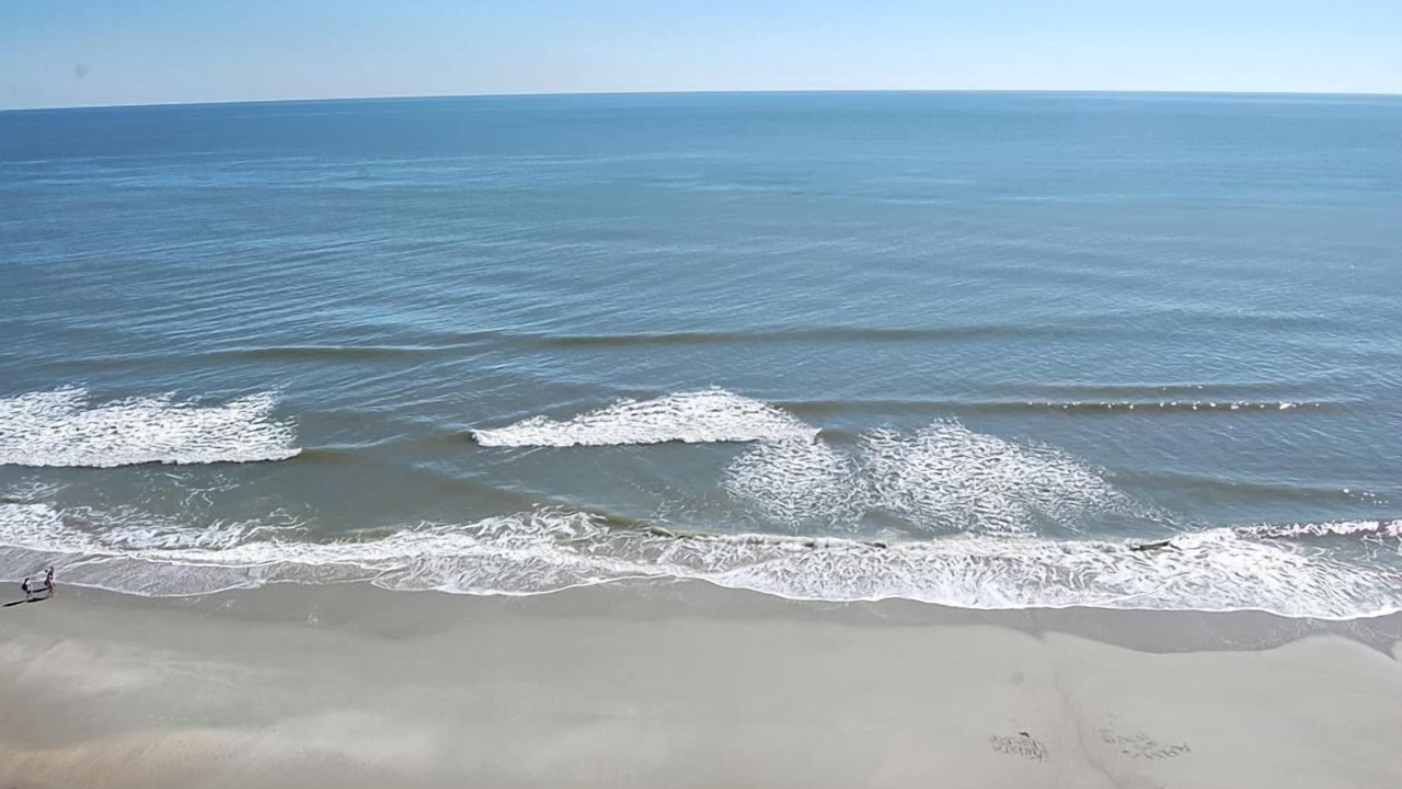 Photo of Others in Arcadian Shores