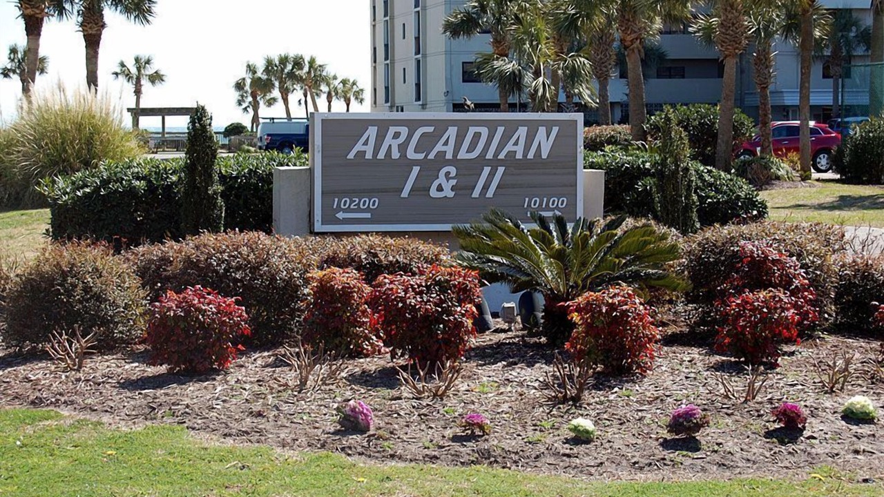 Photo of Others in Arcadian Shores