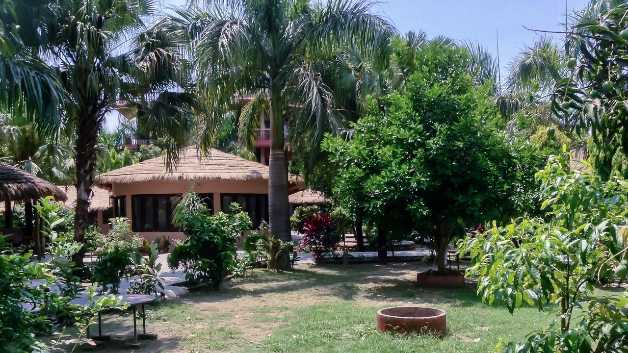 Photo of Outdoor in Sauraha