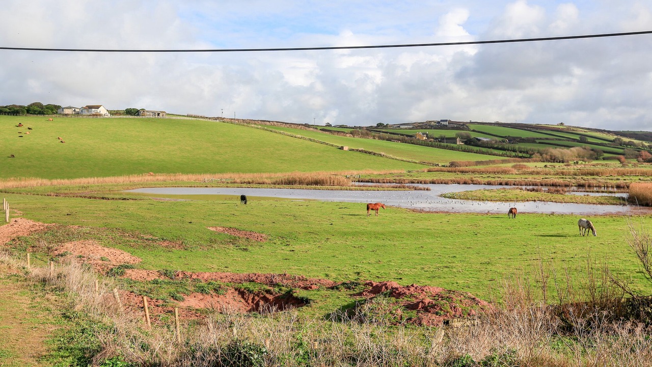 Photo of Others in Burgh Island