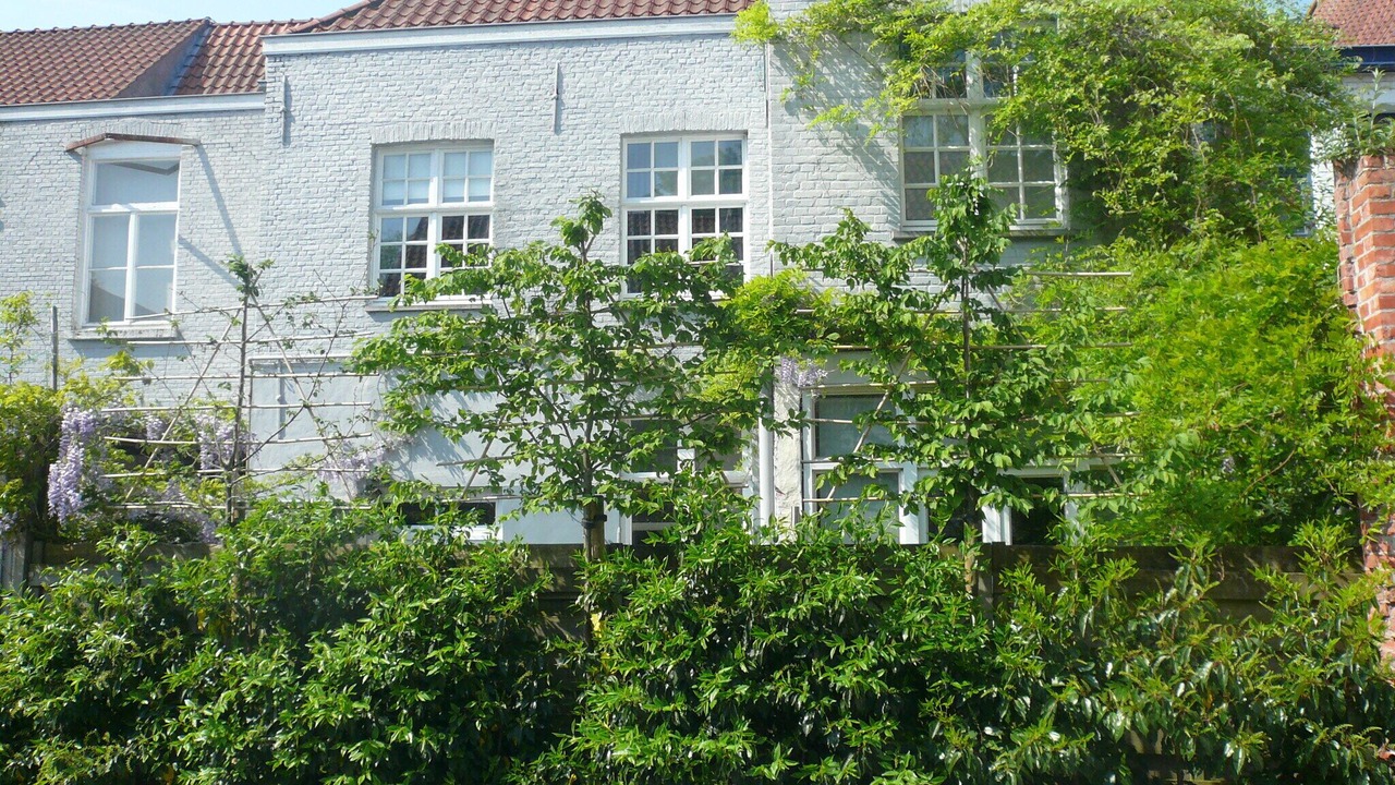 Photo of Outdoor in Historical Center Bruges