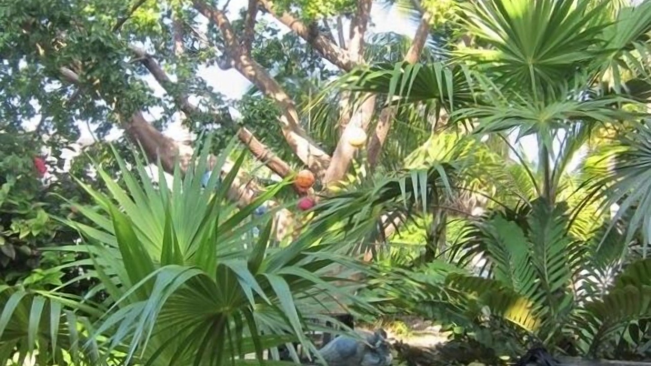 Photo of Others in Islamorada