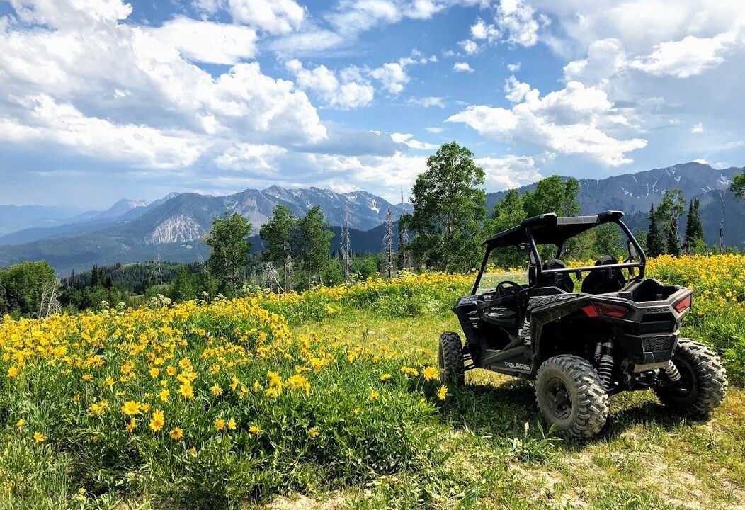 Photo of Others in Alpine