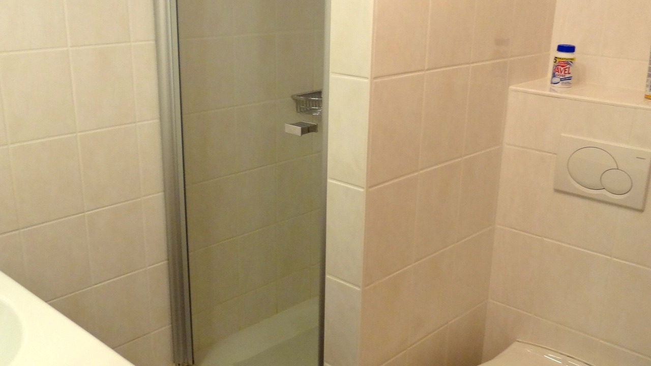 Photo of Bathroom in Ormont-Dessus