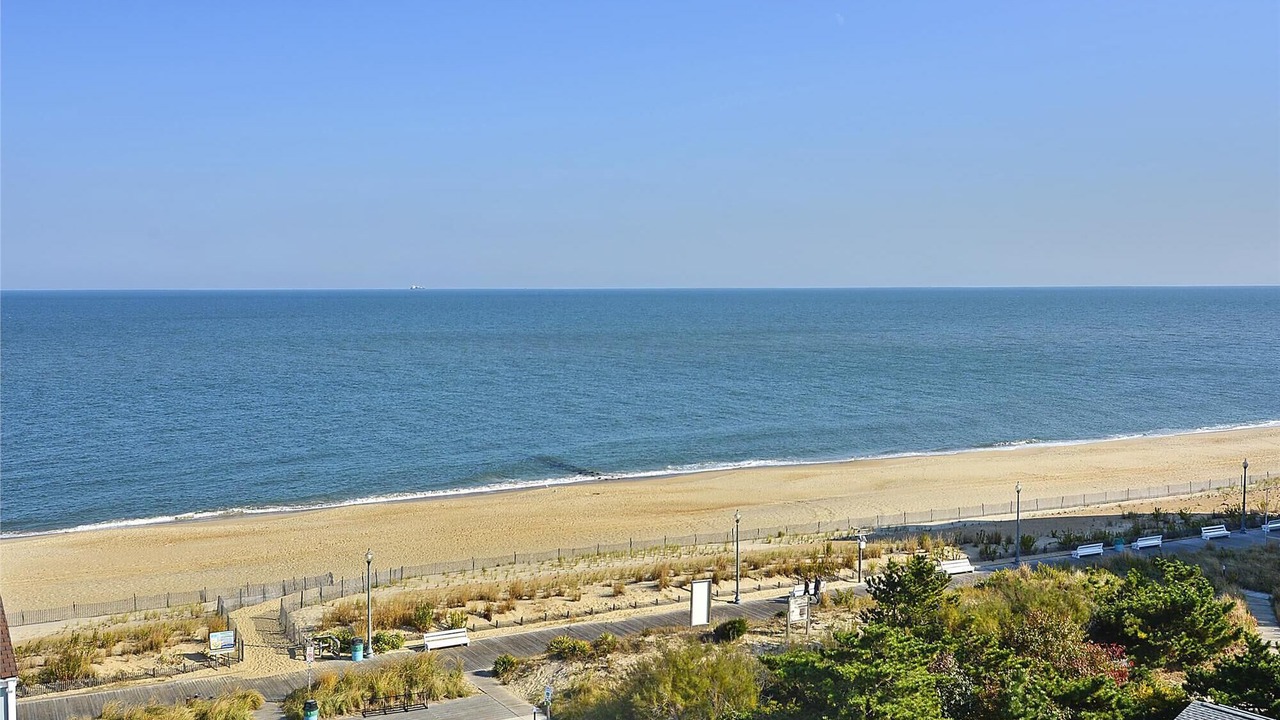 Photo of Others in Rehoboth Beach