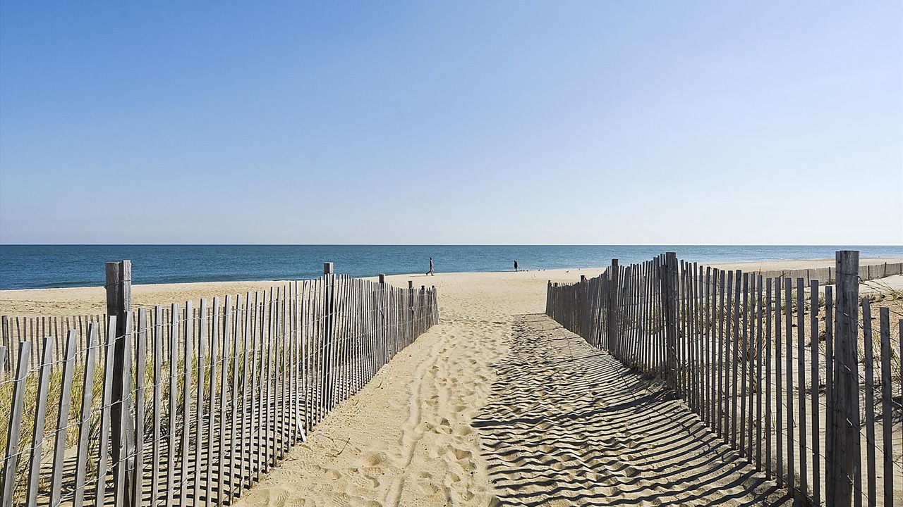 Photo of Others in Rehoboth Beach