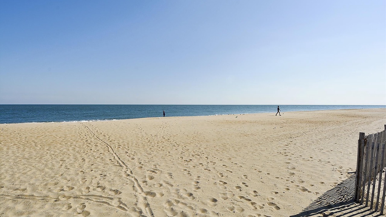 Photo of Others in Rehoboth Beach