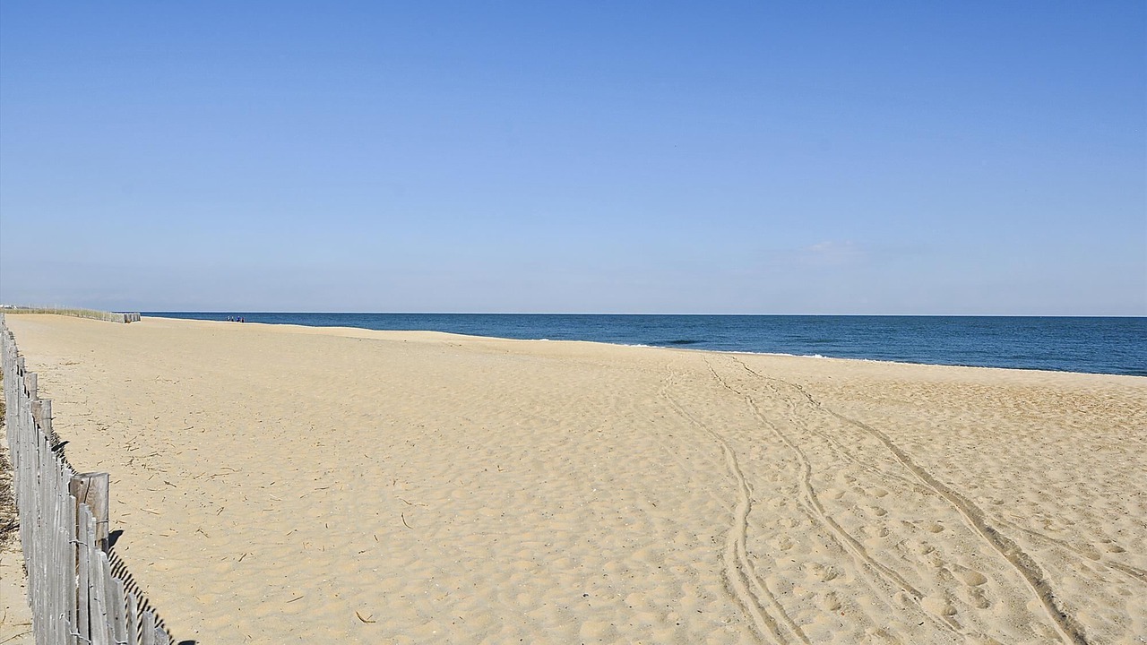 Photo of Others in Rehoboth Beach