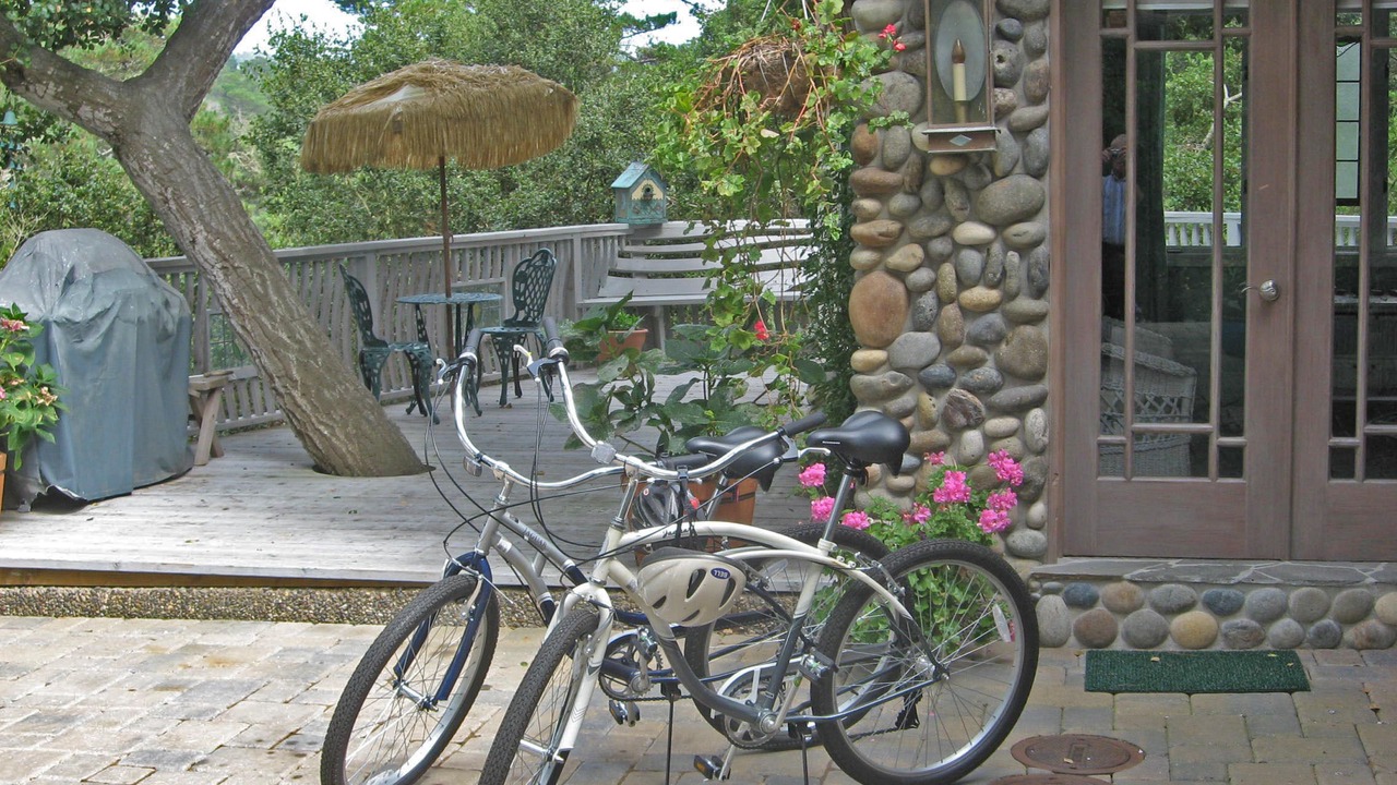Photo of Others in Carmel