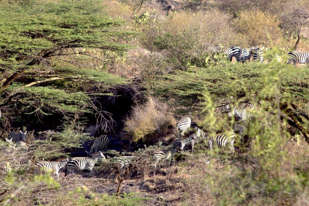 Photo of Outdoor in Nairobi