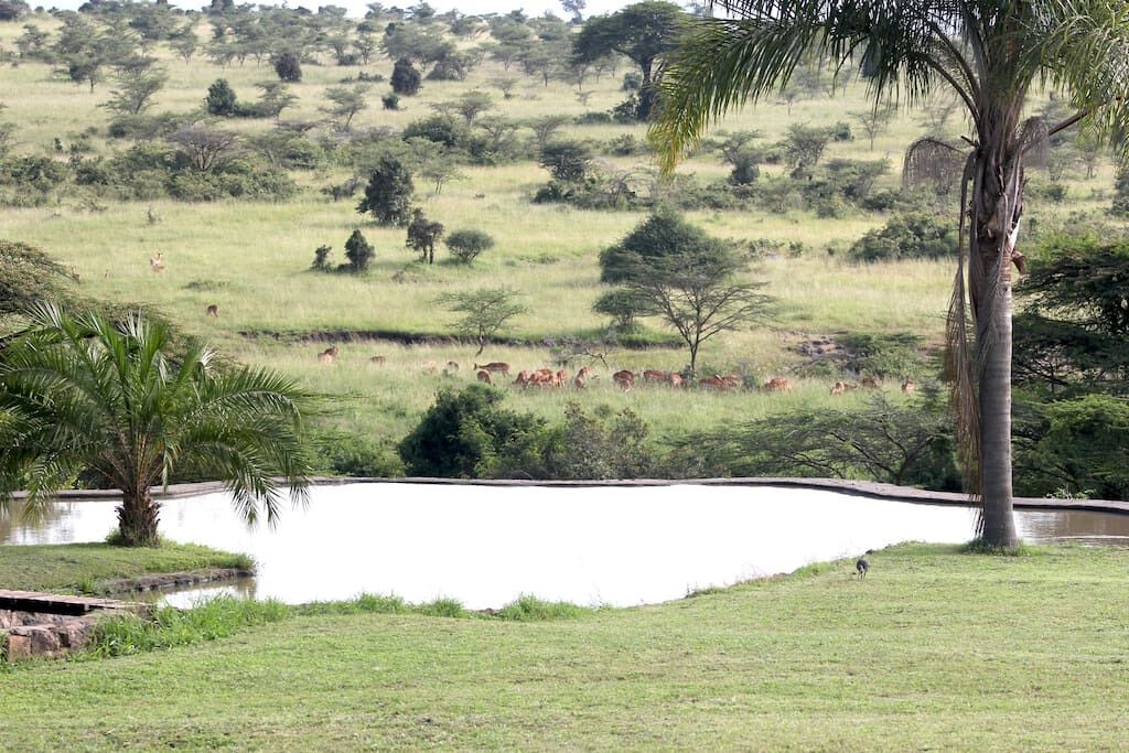 Photo of Outdoor in Nairobi