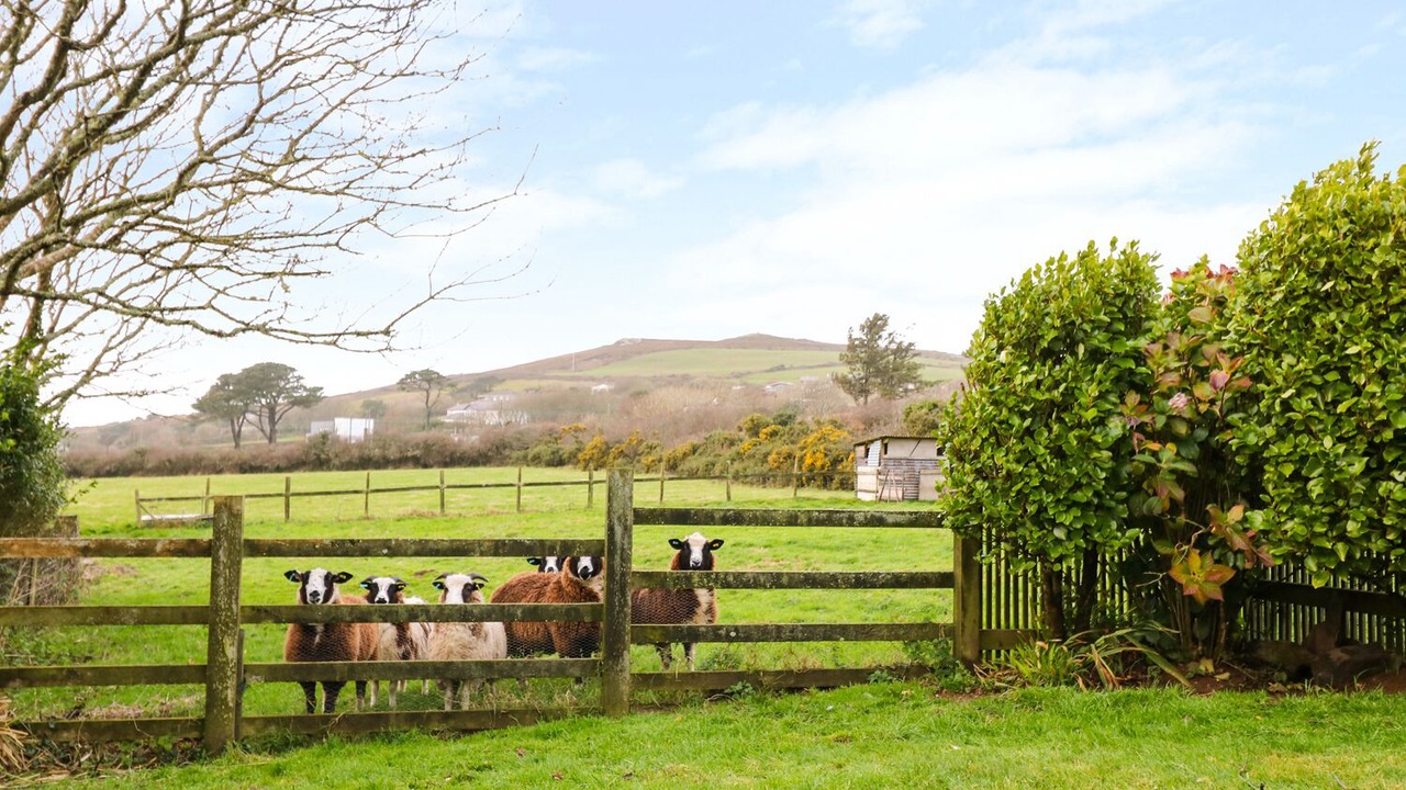 Photo of Outdoor in St. Agnes