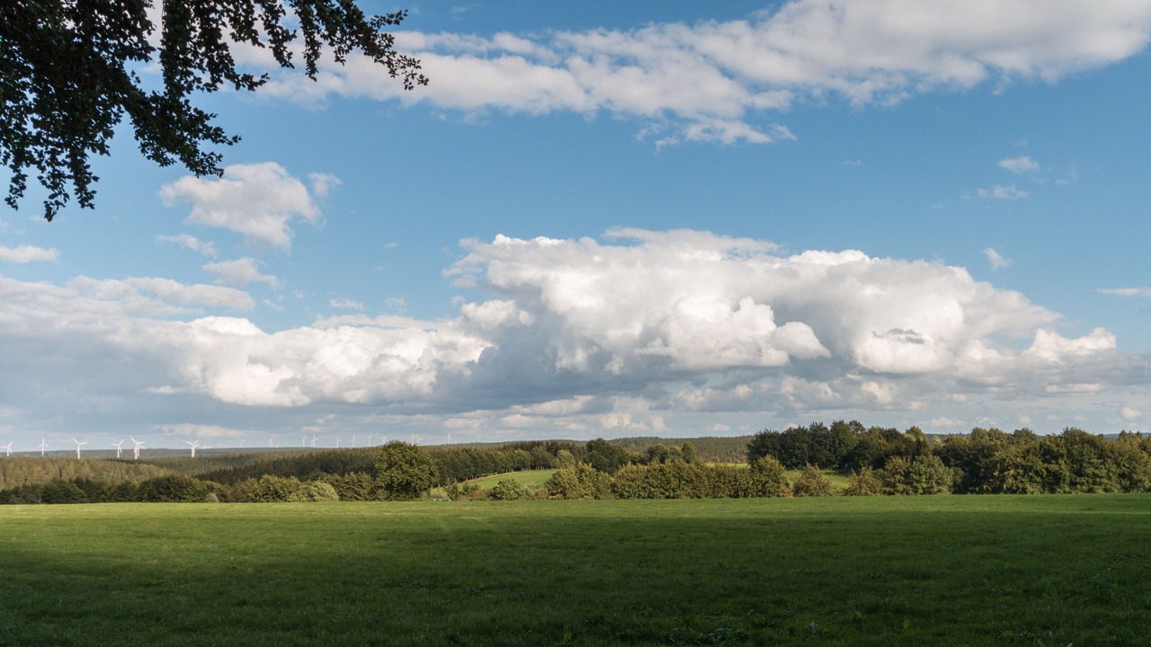 Photo of Others in Kalterherberg