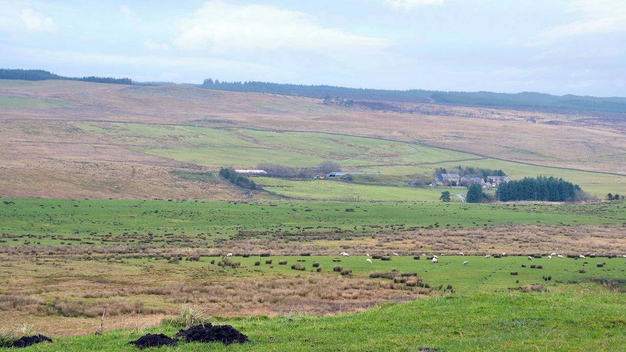 Photo of Others in Hexham
