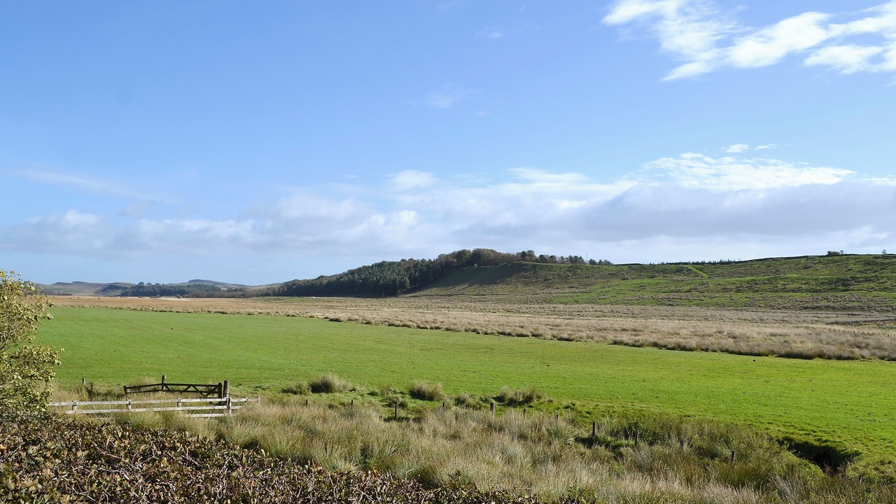 Photo of Others in Hexham