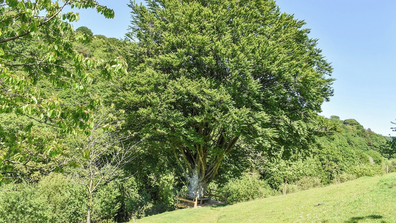 Photo of Outdoor in Bodmin