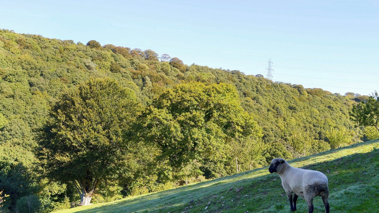 Photo of Others in Bodmin
