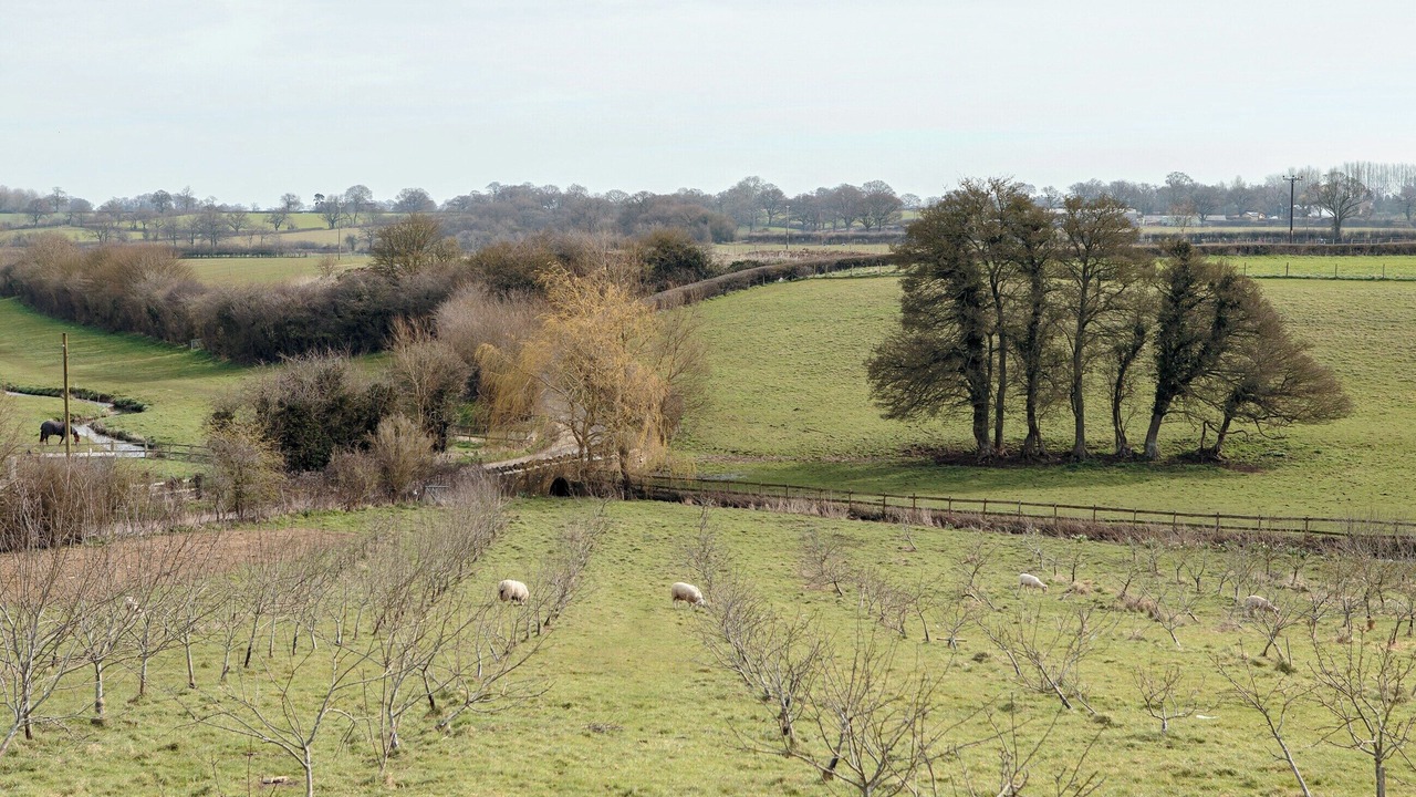 Photo of Others in Chippenham