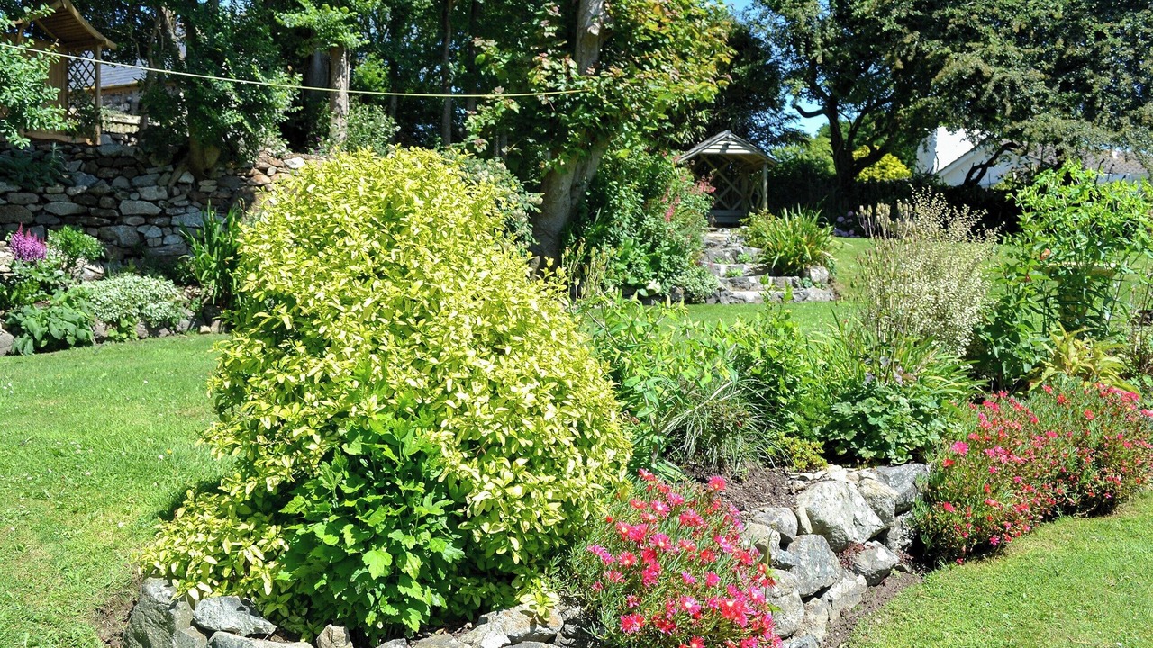 Photo of Outdoor in Helston