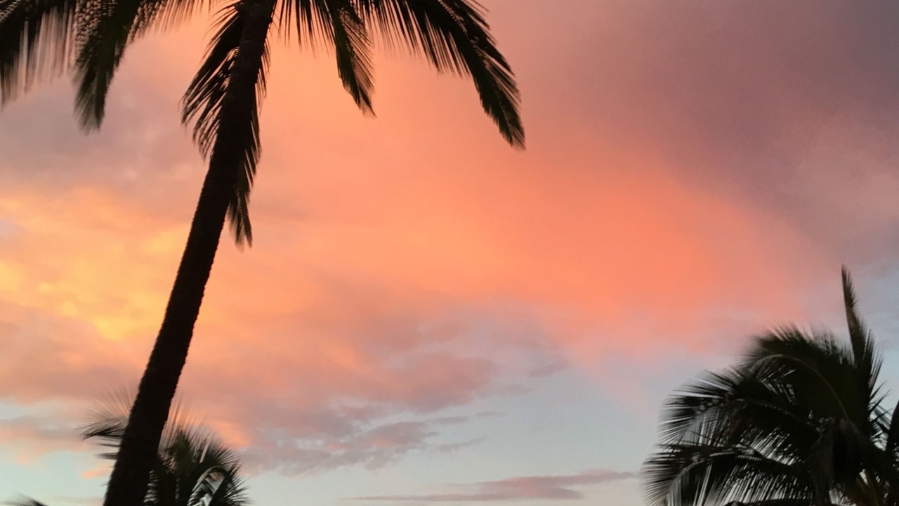 Photo of Others in Kihei