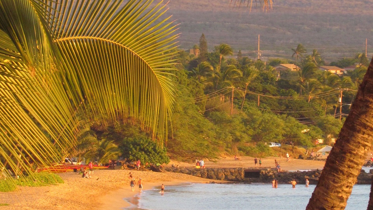 Photo of Others in Kihei