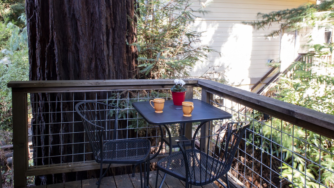 Photo of Others in Guerneville