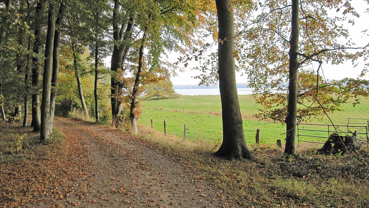 Photo of Outdoor in Ulsnis