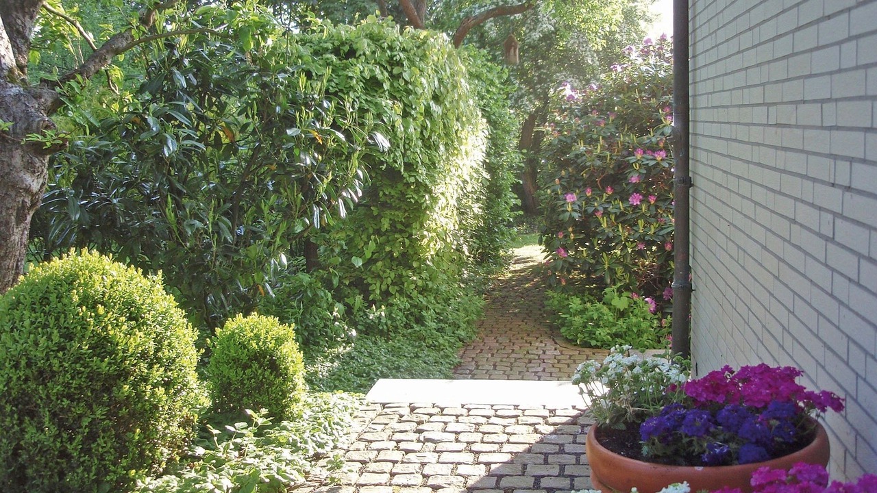 Photo of Outdoor in Ulsnis