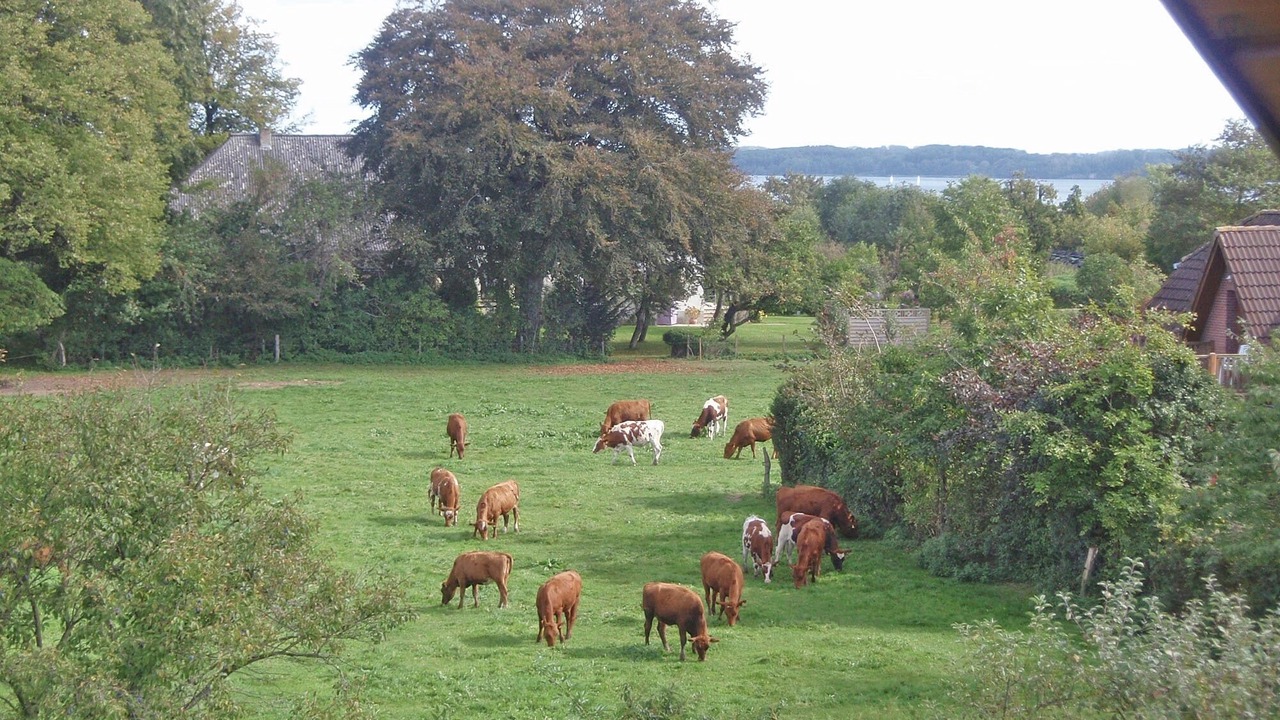 Photo of Outdoor in Ulsnis