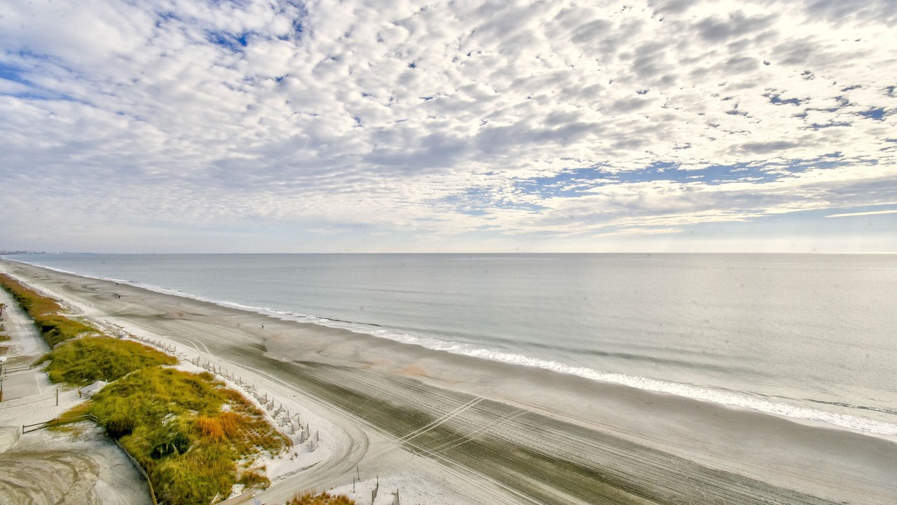 Photo of Others in Arcadian Shores