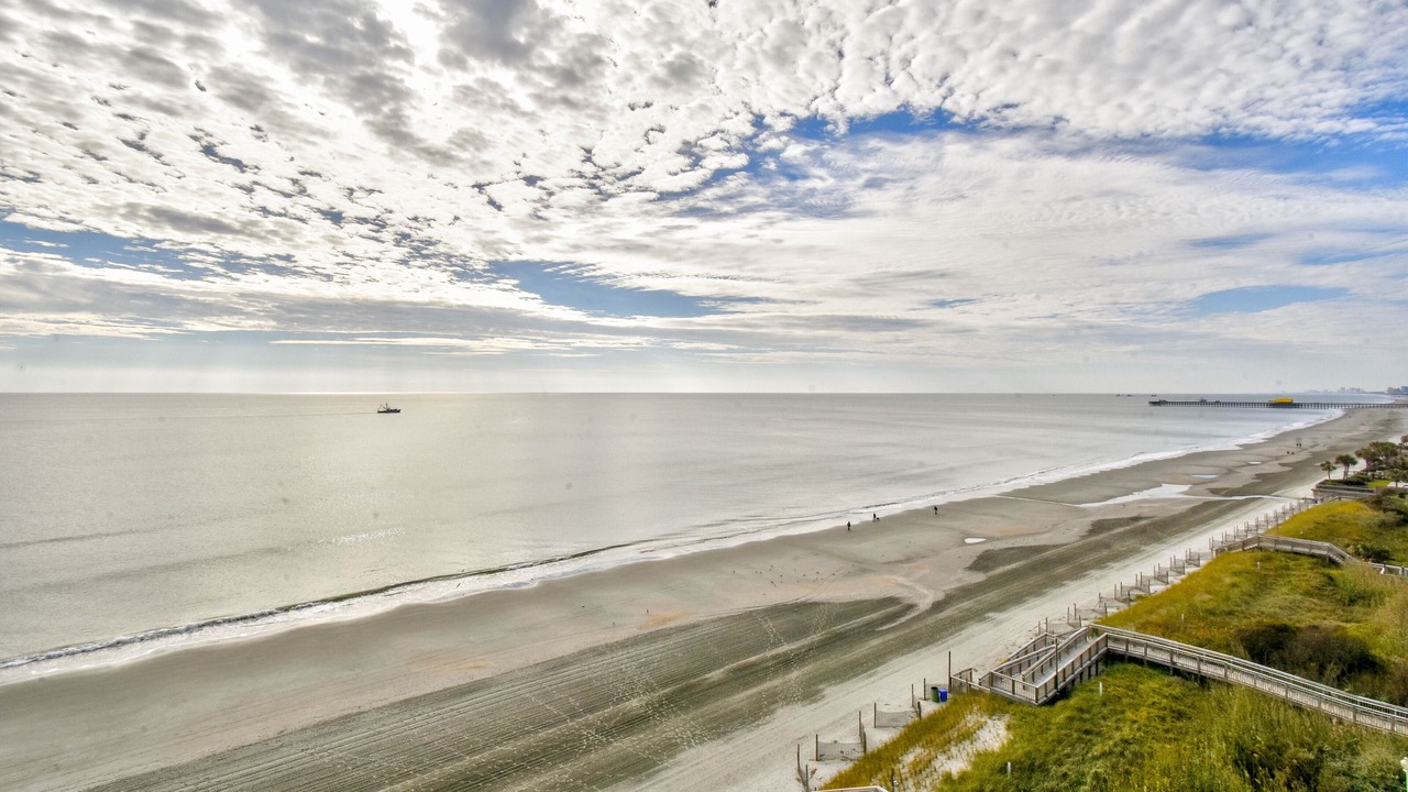Photo of Others in Arcadian Shores