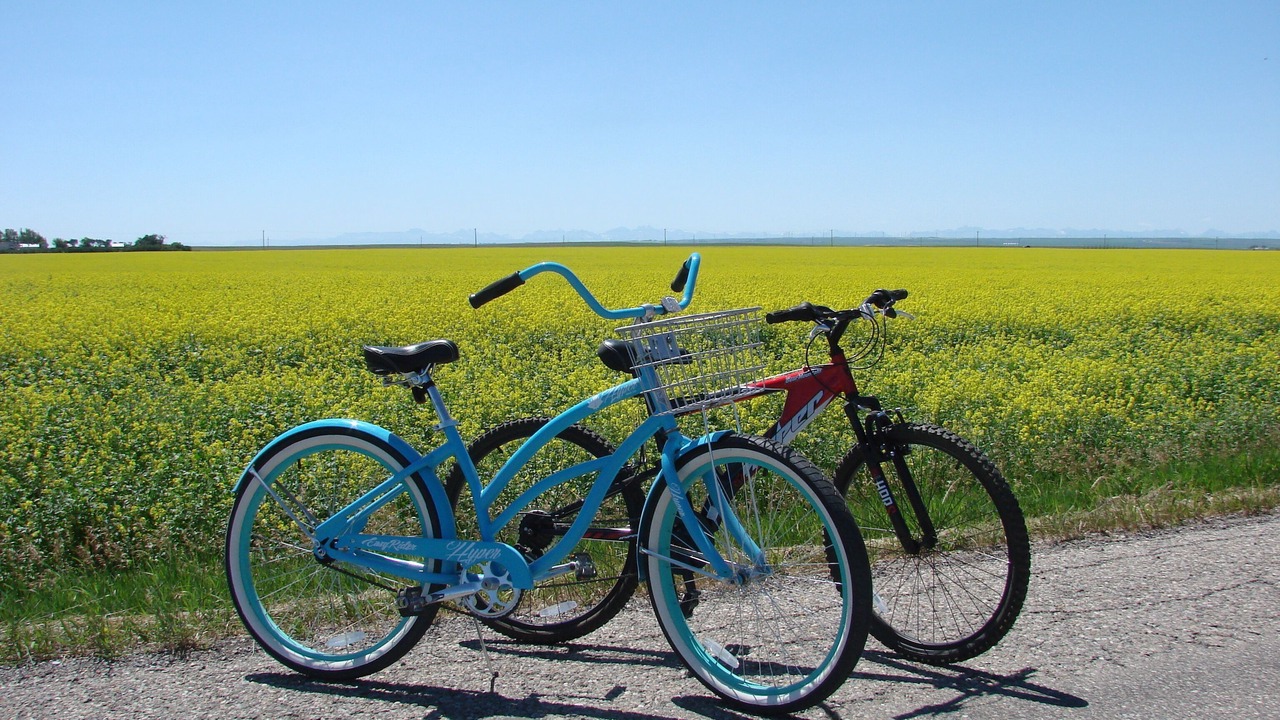 Photo of Others in Fort Macleod