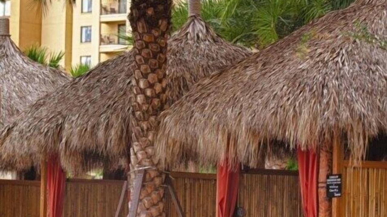 Photo of Others in Lake Buena Vista
