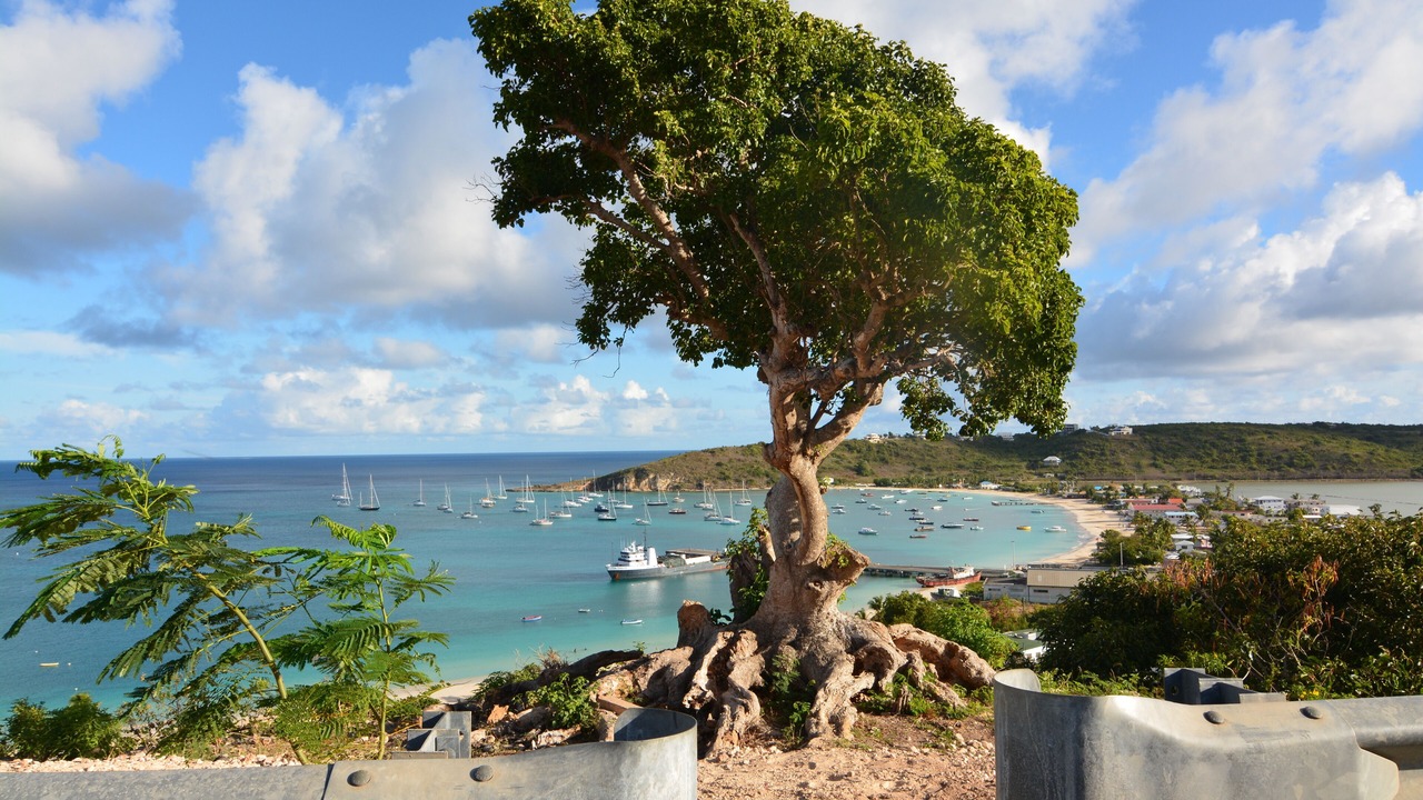 Photo of Others in Little Harbour
